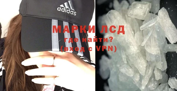 прущие грибы Козельск