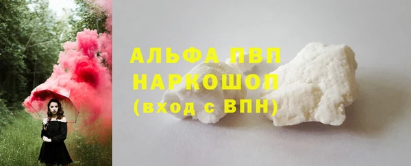 прущие грибы Козельск