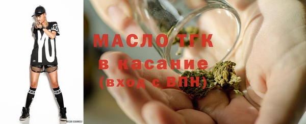 прущие грибы Козельск