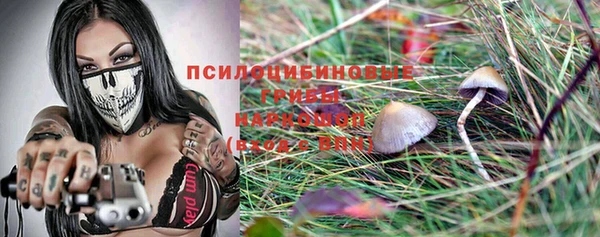 прущие грибы Козельск